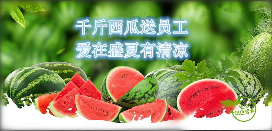通達(dá)軟件公司： 千斤西瓜送員工，愛在盛夏有清涼